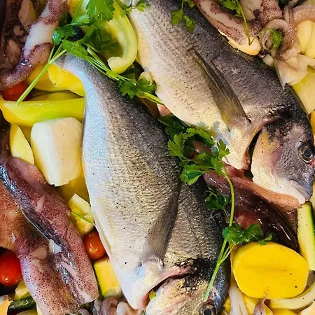 Josip Apartman Murter